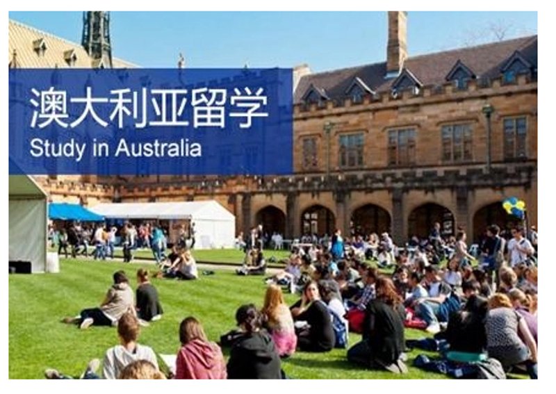 美国留学咨询行业的趋势与挑战